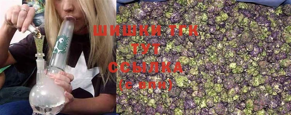 PSILOCYBIN Баксан