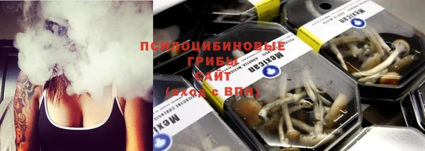 хмурый Нея