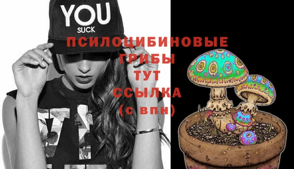 PSILOCYBIN Баксан