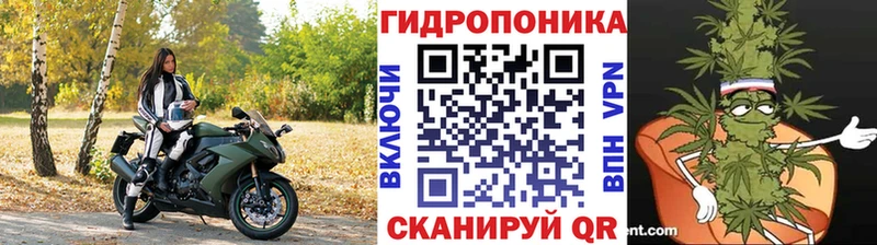 хочу   даркнет телеграм  Бошки марихуана OG Kush  Печора 